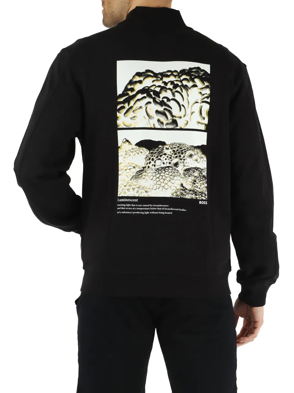 Felpa in cotone garzato con zip