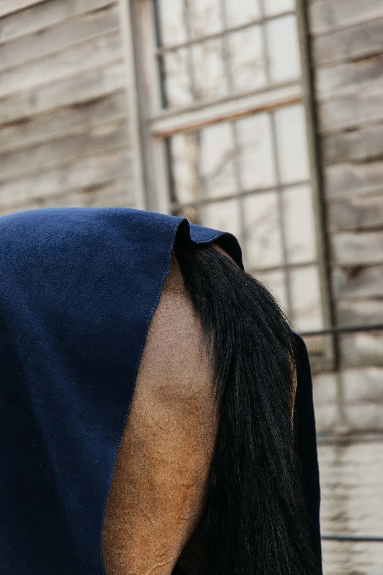 Kentucky Horsewear Coperta in pile pesante