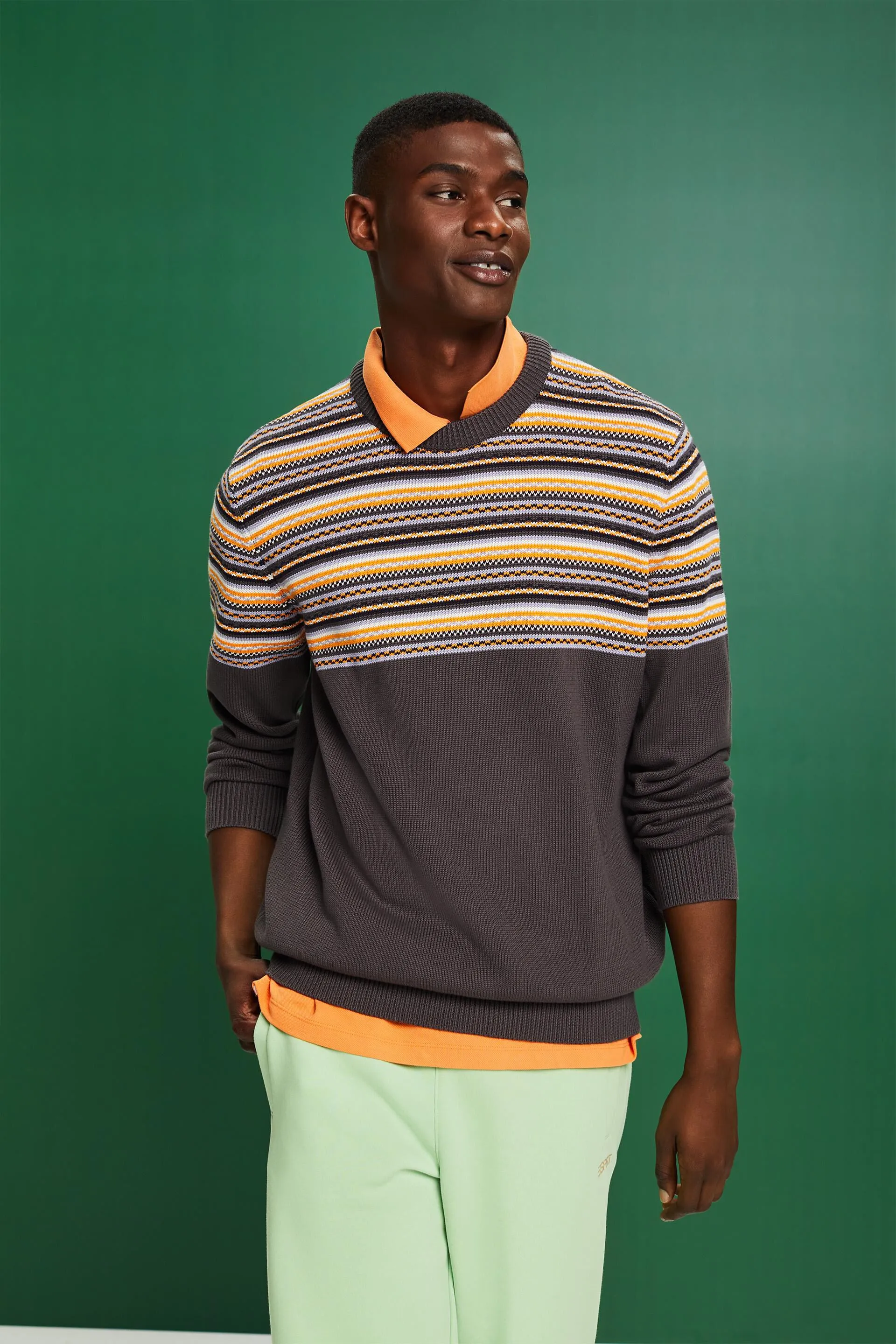 Pullover in cotone jacquard girocollo