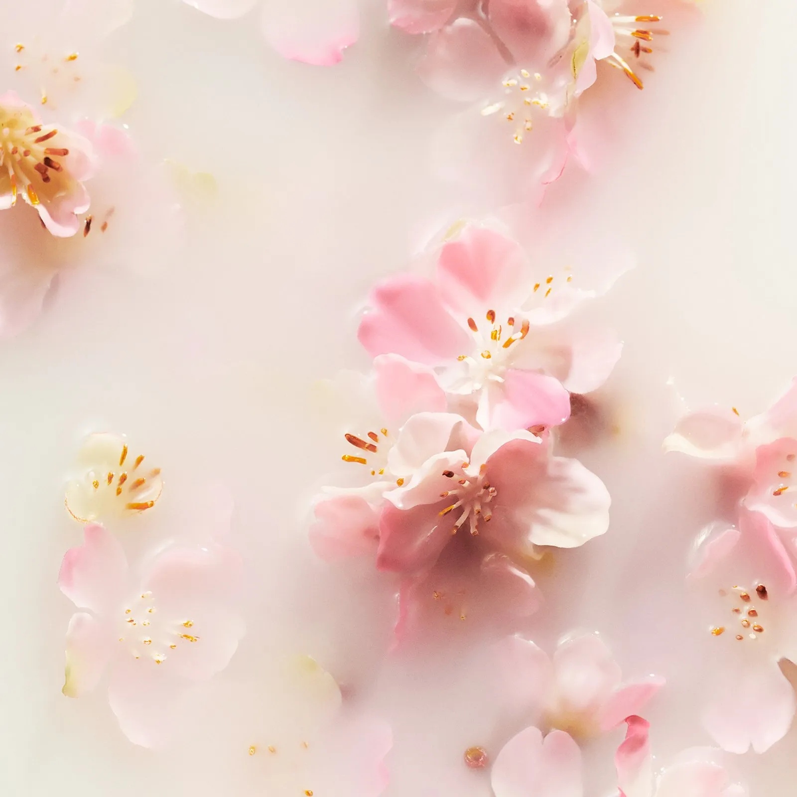  RITUALS   The Ritual of Sakura - Mini bastoncini profumati | 