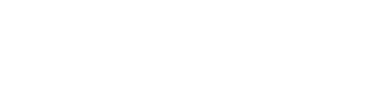Bialetti montalatte Cappuccinatore Acciaio
